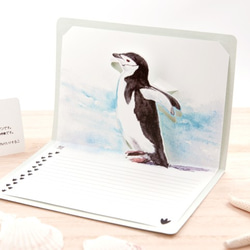 ポップアップカード　ヒゲペンギン　メッセージカード 1枚目の画像