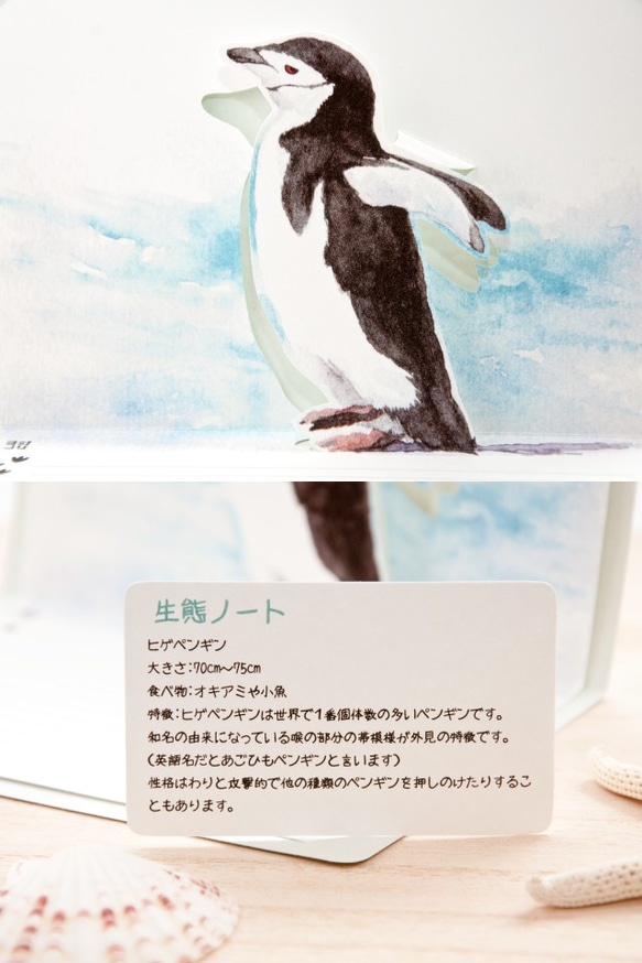 ポップアップカード　ヒゲペンギン　メッセージカード 2枚目の画像