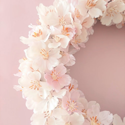 ほんのりピンク 桜のシンプル春色リース　★ラッピング無料★ 2枚目の画像