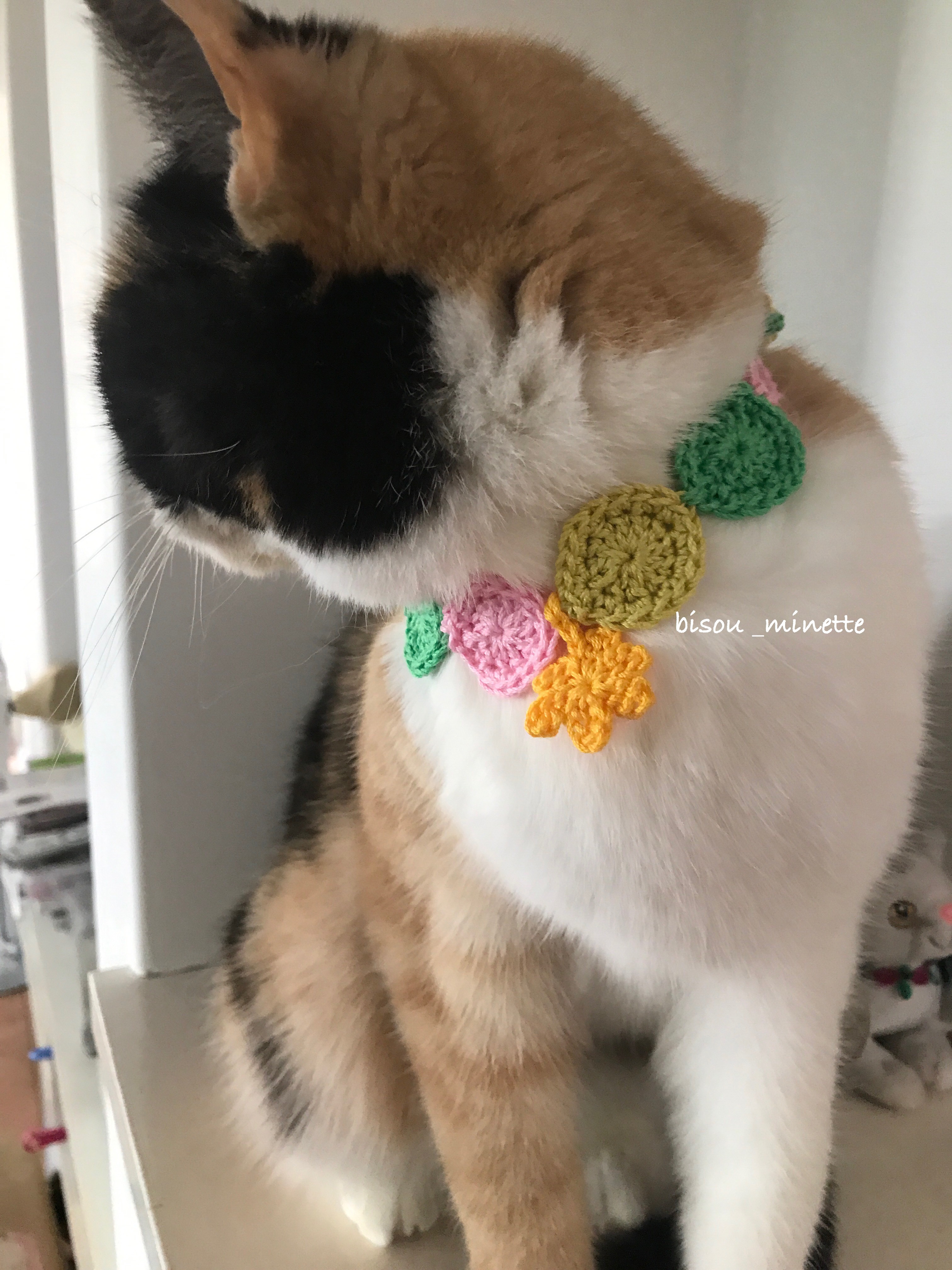 短毛ちゃんにも♥️中世ヨーロッパ風チョーカー(ホワイト④)わんちゃん猫ちゃん用