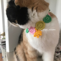 1_570a232003c954ecef47f6737651