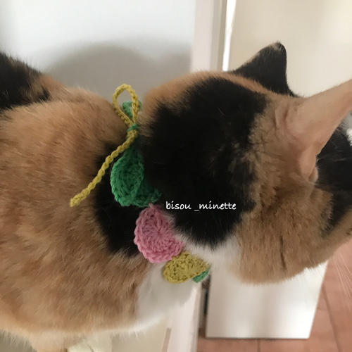 短毛ちゃんにも♥️中世ヨーロッパ風チョーカー(ベージュ)わんちゃん猫