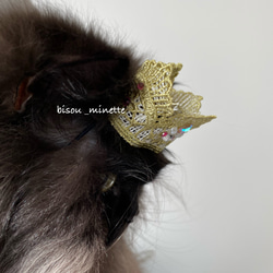 長毛猫ちゃんにも嬉しい♬コットン100％チョーカー 中央お花 ①黄色