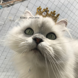 長毛猫ちゃんにも嬉しい♬コットン100％チョーカー 中央お花 ①