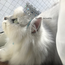 長毛猫ちゃんにも嬉しい♬コットン100％チョーカー 中央お花 ①黄色