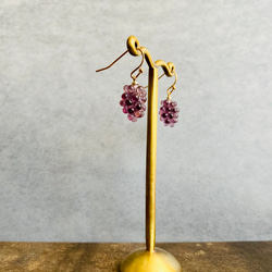 再販　ワイン好きにもたまらない　ぶどうをそのままに　葡萄の果実　ゴールド　ピアス　イヤリング アレルギー対応 3枚目の画像