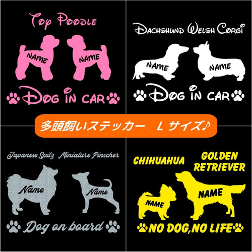 DT×ST DogtownSucidalSkata L ダブルネーム 全2色 ドッグタウン DOG TOWN Tシャツ DT×ST S/S Tee SUICIDAL