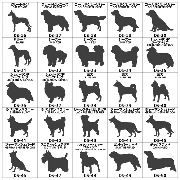 犬　ステッカー　Fタイプ　62犬種　お名前・犬種・誕生日入り オーダー 6枚目の画像