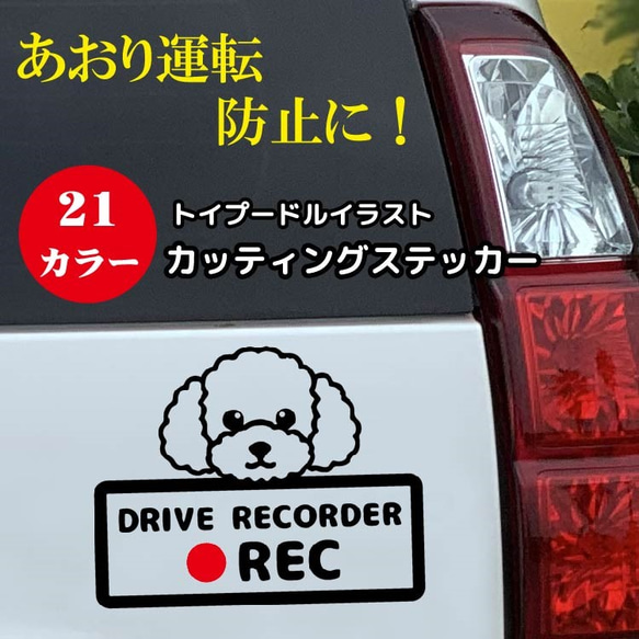 ドライブレコーダー　搭載　ドラレコ　ステッカー　犬　トイプードル　159D 1枚目の画像