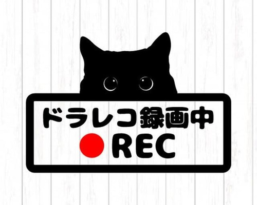ドライブレコーダー 搭載 ドラレコ ステッカー ドラ猫 猫 ねこ