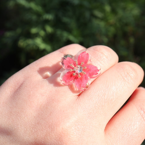 桜 リング　(14金／本物の桜を使用) 3枚目の画像