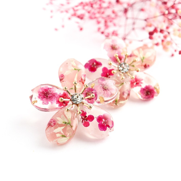 特集掲載】幸せの春桜 ピアス～本物のお花使用 1枚目の画像
