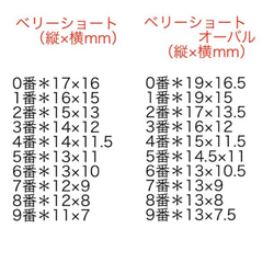 シンプルフレンチ＊スワロライン 2枚目の画像