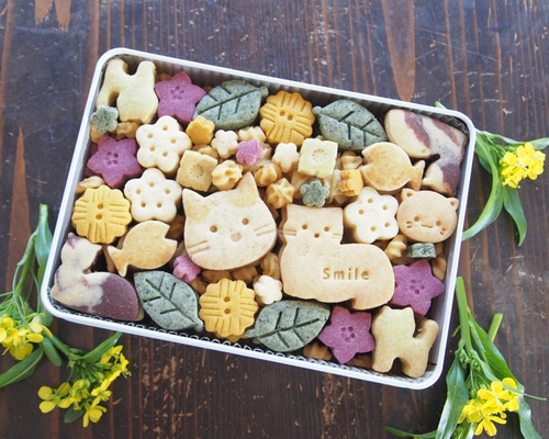 0_12e000a25a510e3bb32d9d605201