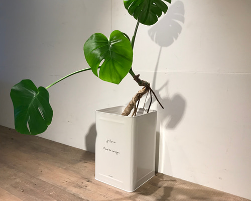 0_1424c19022c479685f5735056ecb