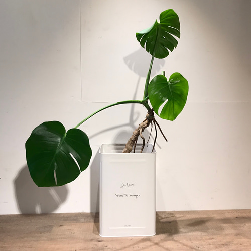 一斗缶 リメイク 鉢 鉢カバー 観葉植物 一輪挿し・花瓶・花器 CRAFT