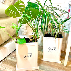 0_34b88379ecce7032c0272ab12053