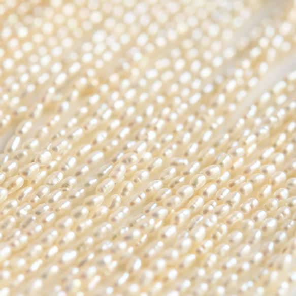 ベビーサイズ 天然淡水パール 真珠 ライス ホワイト系 （10cm)2～2.5mm　997 2枚目の画像