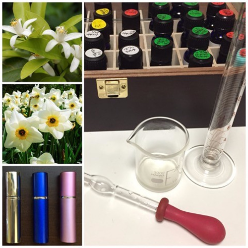 Cam様 プラナロム ネロリ他 合計4点 精油 Cam様 プラナロム ネロリ他 合計4