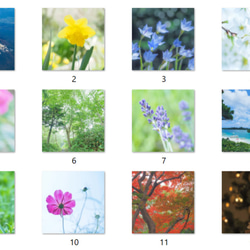 オリジナル風景花写真 卓上カレンダー2024D ポストカードサイズ 4月始まり 月曜始まりも可 2枚目の画像