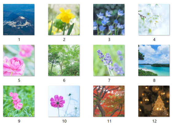 オリジナル風景花写真 卓上カレンダー2024D ポストカードサイズ 4月始まり 月曜始まりも可 2枚目の画像