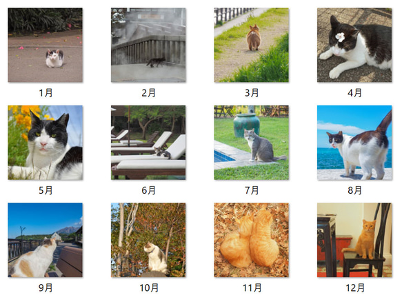 オリジナル猫写真 卓上カレンダー2024 ポストカードサイズ 4月始まり 月曜始まりも可 2枚目の画像