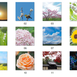 オリジナル風景花写真 卓上カレンダー2026Ａ ポストカードサイズ 月曜始まりも可 2枚目の画像