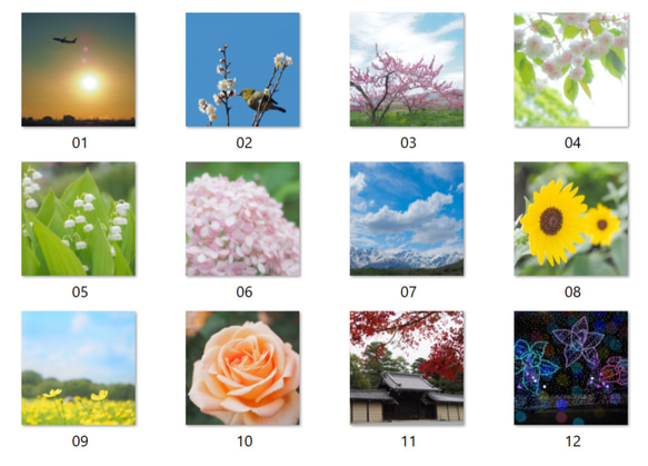 オリジナル風景花写真 卓上カレンダー2024Ａ ポストカードサイズ 4月始まり 月曜始まりも可 2枚目の画像