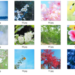 オリジナル風景花写真 卓上カレンダー2024Ｂ ポストカードサイズ 4月始まり 月曜始まりも可 2枚目の画像