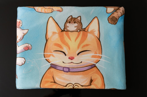 眠っている猫の毛布 2枚目の画像
