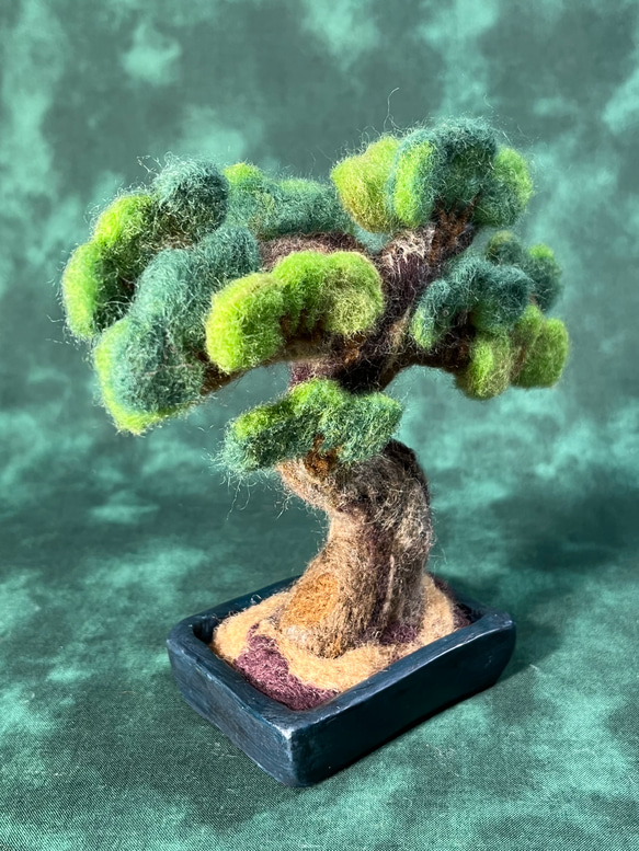 松の盆栽(羊毛フェルト)四角い鉢 羊毛フェルト Sugar Maple 通販