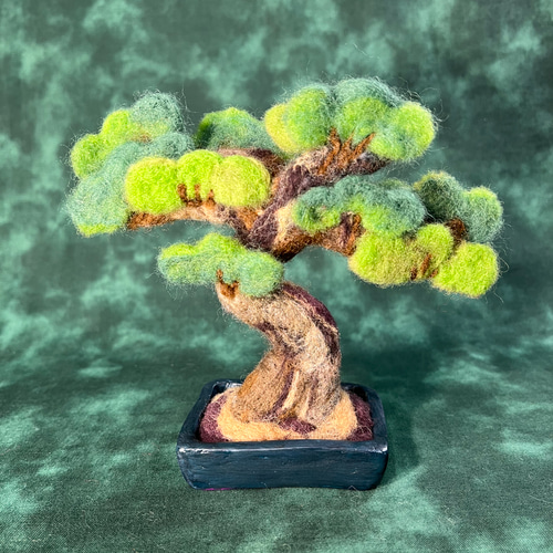 松の盆栽(羊毛フェルト)四角い鉢 羊毛フェルト Sugar Maple 通販