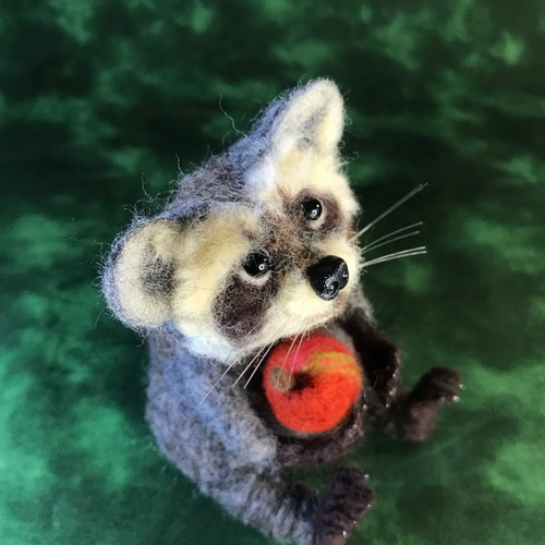 アライグマ (羊毛フェルト) 羊毛フェルト Sugar Maple 通販 8366443