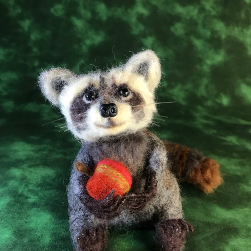 アライグマ (羊毛フェルト) 羊毛フェルト Sugar Maple 通販