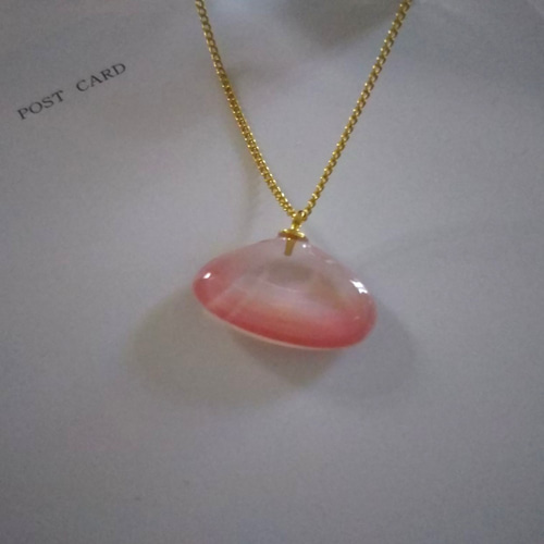 桜貝　ペンダントネックレス 桜貝ネックレス 天然の桜貝をアクセサリーにしました。 ネックレス