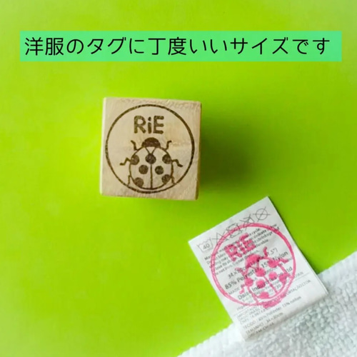虫好きさん集まれ!! 選べる！昆虫・ムシ お名前消しゴムはんこ