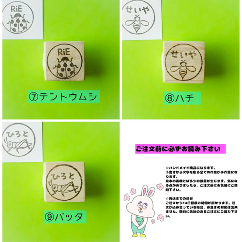 虫はんこさん、専用 ゲンゴロウのキャラクターはんこ【KO-001G】 | 理科はんこ屋さん