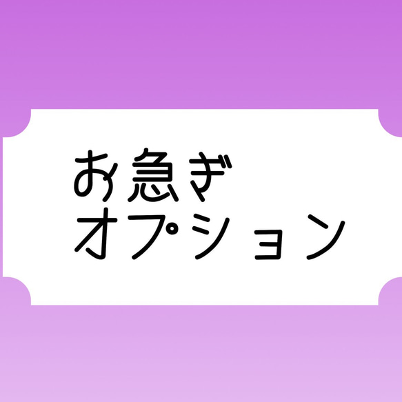 お急ぎオプション 1枚目の画像