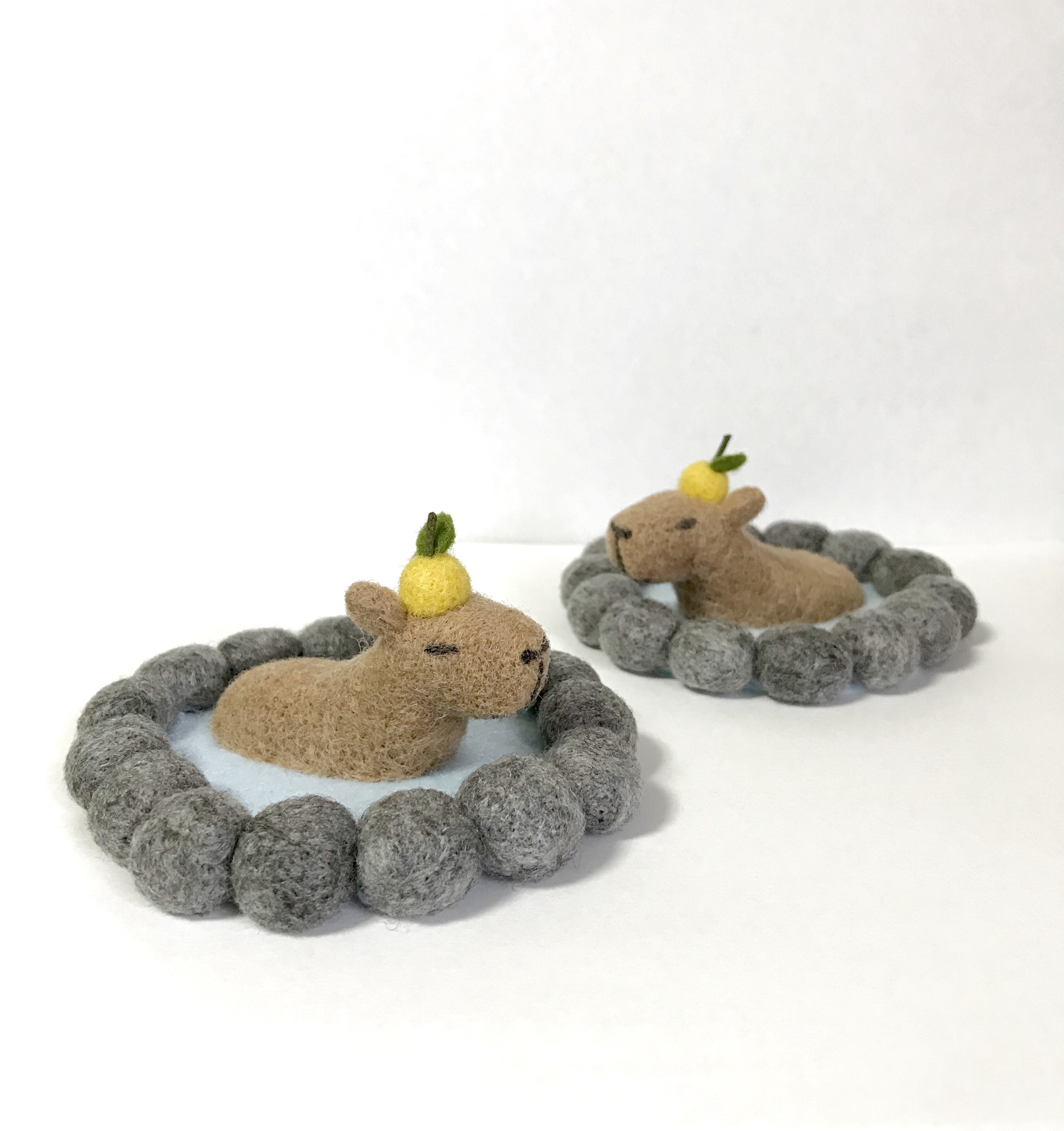 羊毛フェルト パピヨン 蛙 蜜蜂 日光浴 専用 温泉