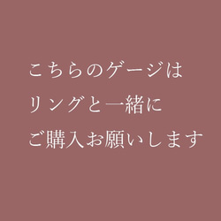 リングゲージ【貸し出し用】 3枚目の画像