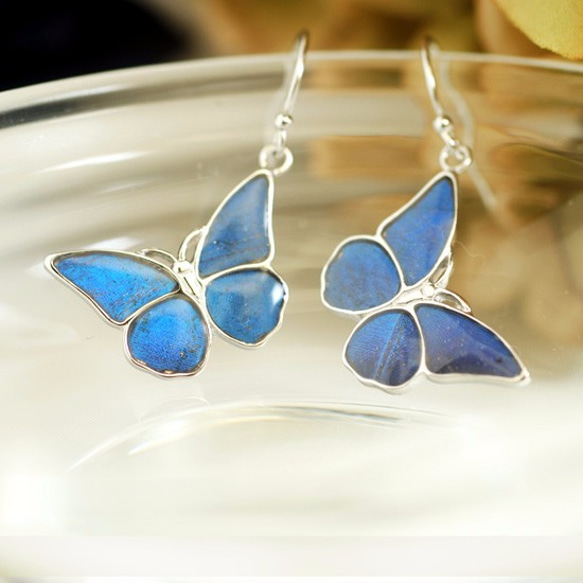 バーゲンで ブルーモルフォ蝶の小さなピアス（ペア）／SILVER ピアス アクセサリー