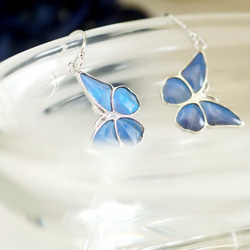ブルーモルフォ蝶の小さなピアス（ペア）／SILVER 2枚目の画像