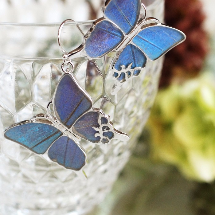 モルフォ蝶の大きなピアス（ペア）／SILVER