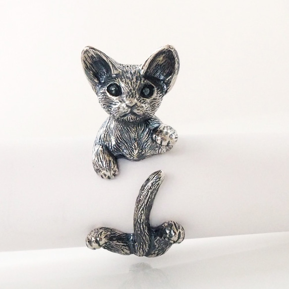 デボンレックス 猫リング 1枚目の画像