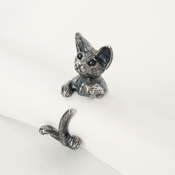 デボンレックス 猫リング 3枚目の画像
