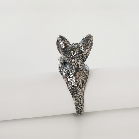 デボンレックス 猫リング 5枚目の画像