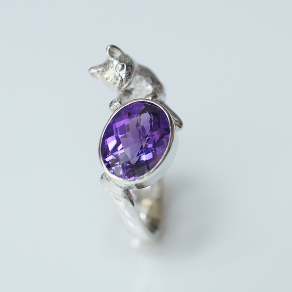 Oikake 貓戒指紫水晶 第7張的照片
