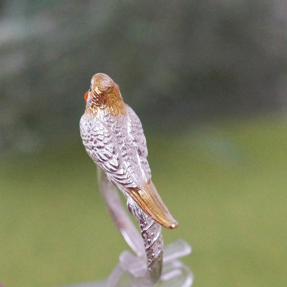 手乗りオカメインコリング 9枚目の画像