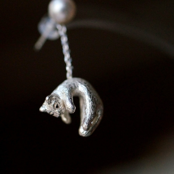 弱貓帶著氣球耳環（珍珠）一隻耳朵旅行 第5張的照片