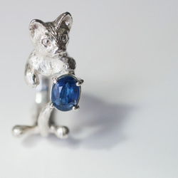 藍晶石貓戒指 第5張的照片